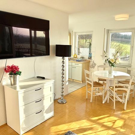 Panorama Domizil Ravensburg Mit Alpenblick Balkon Διαμέρισμα Εξωτερικό φωτογραφία